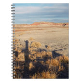 砂漠の波:石化された森林国立公園の写真 ノートブック (正面)