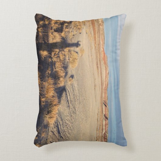 砂漠の波：石化された森林国立公園 アクセントクッション (正面(垂直))