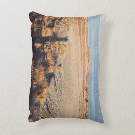 砂漠の波：石化された森林国立公園 アクセントクッション (裏面(縦))