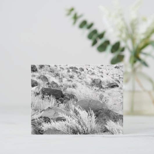 砂漠の玄武岩の溶岩黒と白の写真 ポストカード (スタンド正面)
