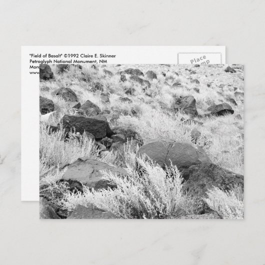砂漠の玄武岩の溶岩黒と白の写真 ポストカード (正面/裏面)