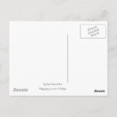 砂漠の登頂者 ポストカード (裏面)