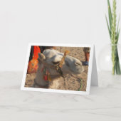 砂漠の白ラクダ カード (正面)