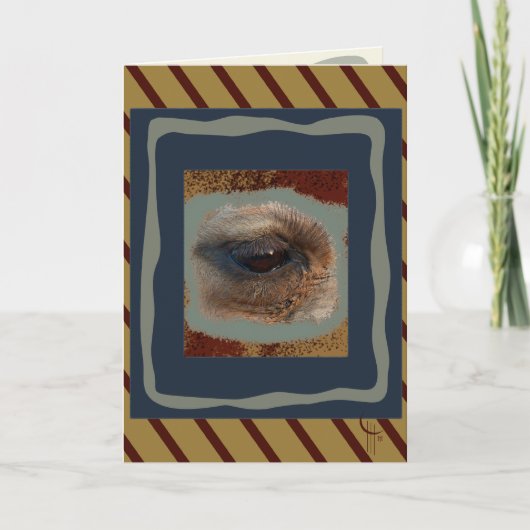 砂漠の目に カード (正面)