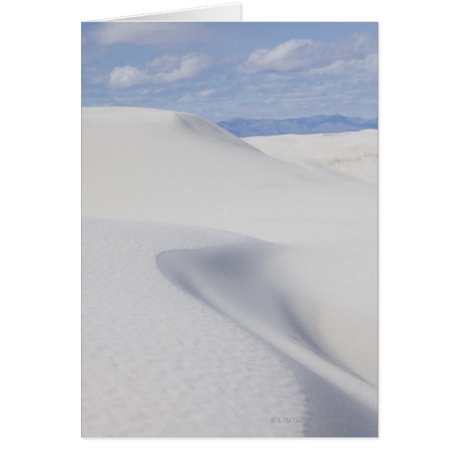 砂漠の砂丘 (正面)