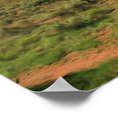 砂漠の素朴な絵画車 ポスター (角)