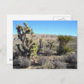 砂漠の緑 ポストカード (正面/裏面)