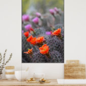 砂漠の色 ポスター (キッチン)