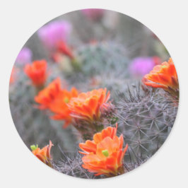 砂漠の色 ラウンドシール