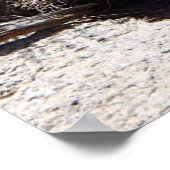 砂漠の花ジョシュアツリー国立公園 ポスター (角)