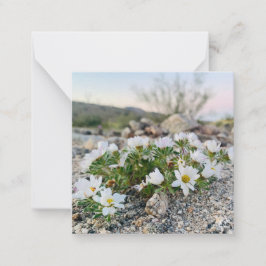 砂漠の花 ノートカード