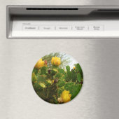 砂漠の花 マグネット (インサイチュ (食洗機))