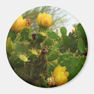 砂漠の花 マグネット