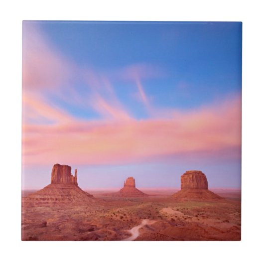 砂漠の谷上の強風 タイル (正面)