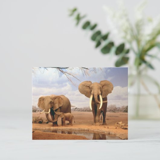 砂漠の象 ポストカード (スタンド正面)