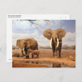 砂漠の象 ポストカード (正面/裏面)