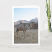 砂漠の赤ちゃんラクダ カード (正面)