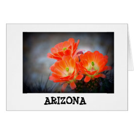 砂漠の迷路アリゾナ