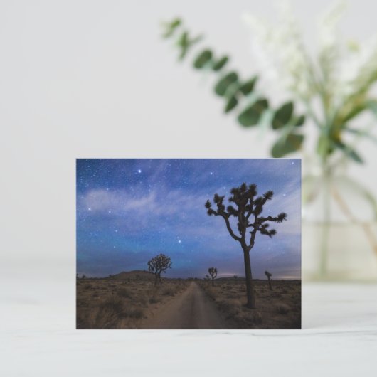 砂漠の道とジョシュアの木々を夜に ポストカード (スタンド正面)