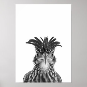 砂漠の道路を走るコウテイペンギンの肖像画 ポスター
