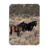 砂漠の野生のマスタングの馬2 マグネット (縦)