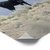 砂漠の野生のマスタングの馬3 ポスター (角)