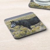 砂漠の野生のムスタングの馬 コースター (左側)