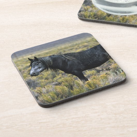 砂漠の野生のムスタングの馬 コースター (左側)