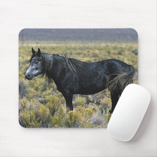 砂漠の野生のムスタングの馬 マウスパッド (マウス)