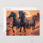 砂漠の野生の馬のトリオ ポストカード (正面/裏面)
