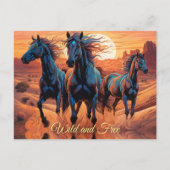 砂漠の野生の馬のトリオ ポストカード (正面)