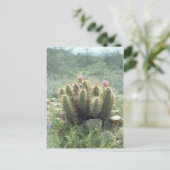 砂漠の開花サボサボソノラアリゾナ写真はがき ポストカード (スタンド正面)