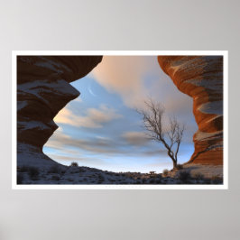 砂漠の雪 ポスター