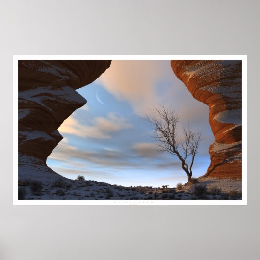 砂漠の雪 ポスター (正面)