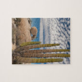 砂漠の風光明媚なサボテン ジグソーパズル (横)