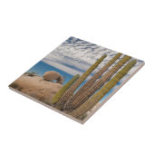 砂漠の風光明媚なサボテン タイル (側面)