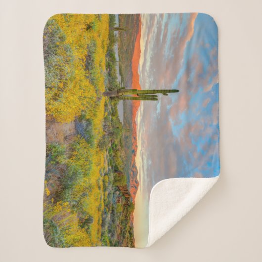 砂漠の風景に沈む夕日 シェルパブランケット (正面)