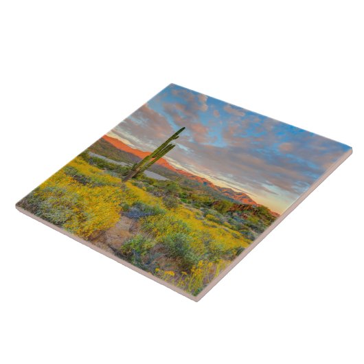 砂漠の風景に沈む夕日 タイル (側面)