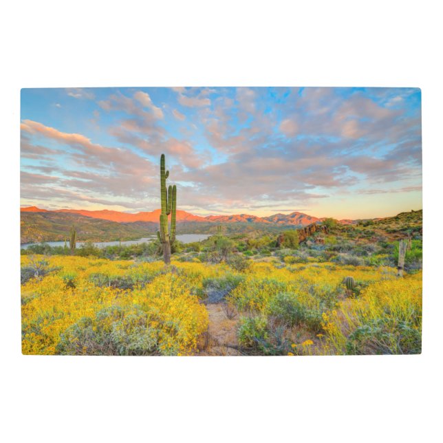 砂漠の風景に沈む夕日 メタルプリント (正面)