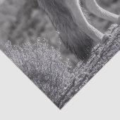 砂漠の風景の中でコーヨーテをハウリング 薄葉紙 (詳細)