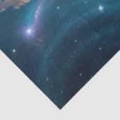 砂漠の風景の中で野生の馬の馬と馬 薄葉紙 (詳細)