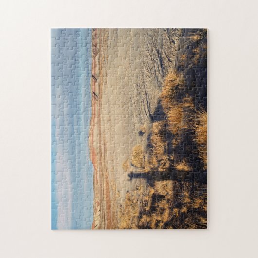 砂漠の風景の石化された森の写真 ジグソーパズル (縦)