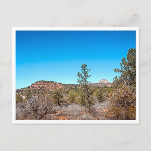 砂漠の風景 ポストカード (正面)