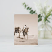 砂漠の風景 ポストカード (スタンド正面)