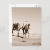 砂漠の風景 ポストカード (正面/裏面)