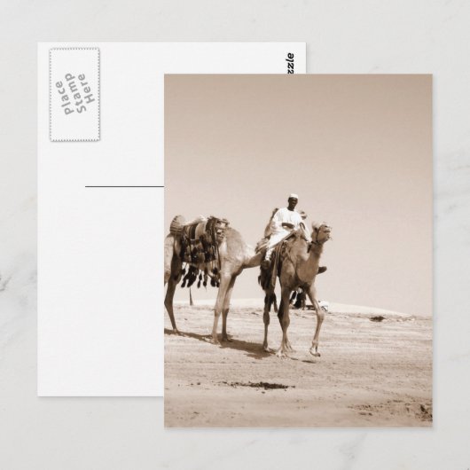 砂漠の風景 ポストカード (正面/裏面)