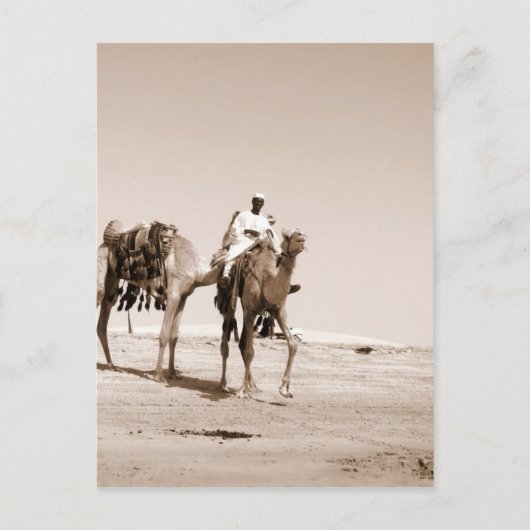 砂漠の風景 ポストカード (正面)