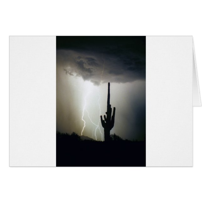 砂漠の高地の稲妻 (正面横)