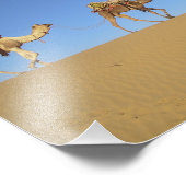 砂漠の3頭のラクダのポスター フォトプリント            (角)