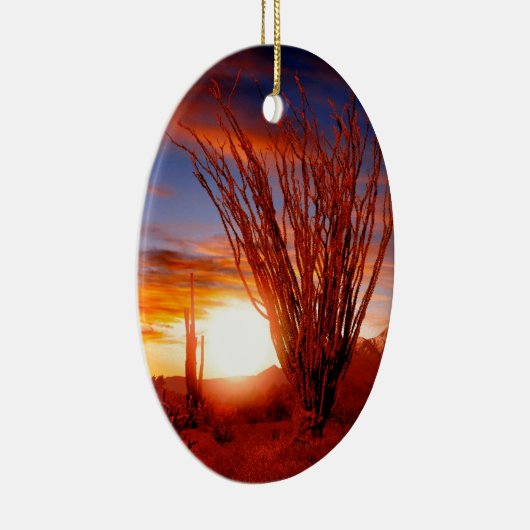 砂漠のOcotilloのソノラアリゾナ セラミックオーナメント (右)